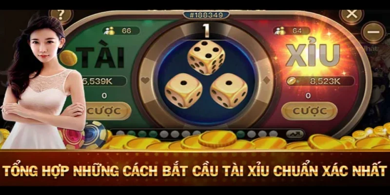 Người chơi phân tích dữ liệu thuật toán trên máy tính